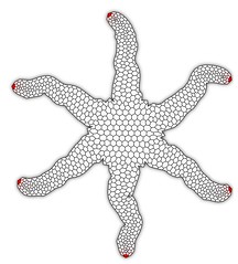 generative starfish