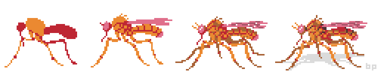 insectx3